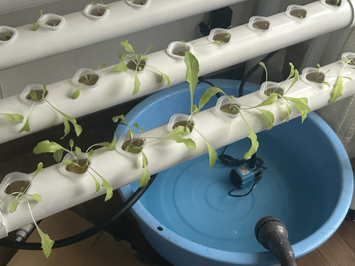 Hydroponics